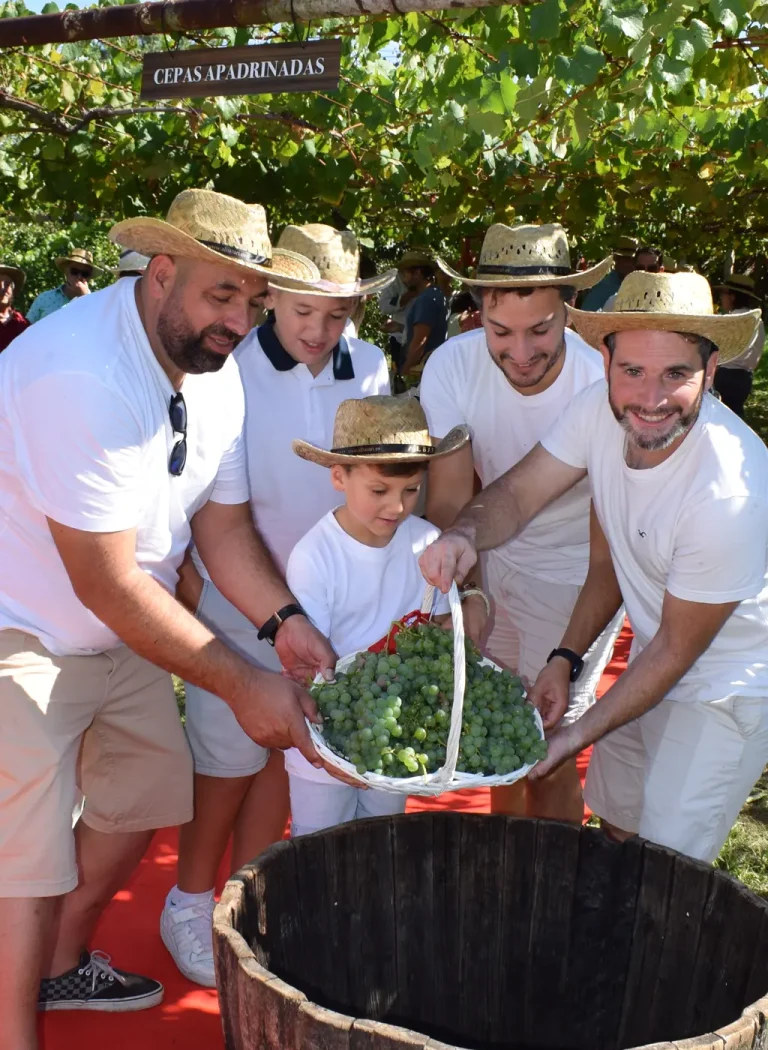 fiesta de la vendimia