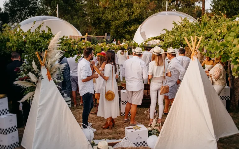 fiesta de la vendimia